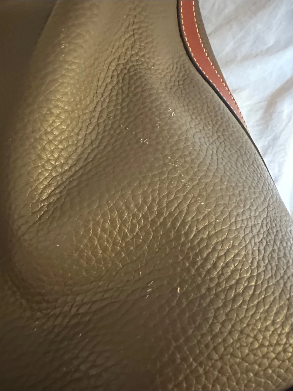 Dooney & Bourke Taupe Pebbled Leather Shoulder Bag with Brown Trim